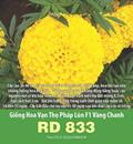 Hạt giống Hoa Vạn thọ pháp lùn F1 vàng chanh RD 833 - Gói 10 hạt