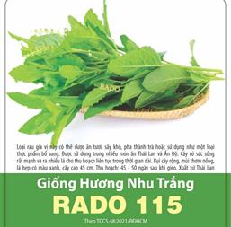 Hạt giống Hương Nhu trắng 1gr