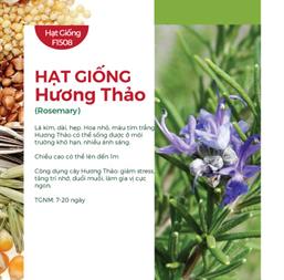 Hạt giống Hương thảo 0.03gr