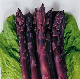 Hạt giống Măng tây tím Rado 682 - Gói 0.2gr