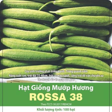 Hạt giống Mướp hương Rossa 38 - 1gr