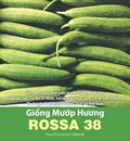 Hạt giống Mướp hương Rossa 38 - Gói 100 hạt