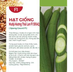 Hạt giống Mướp hương Thái trái dài Rado 388 - 1gr