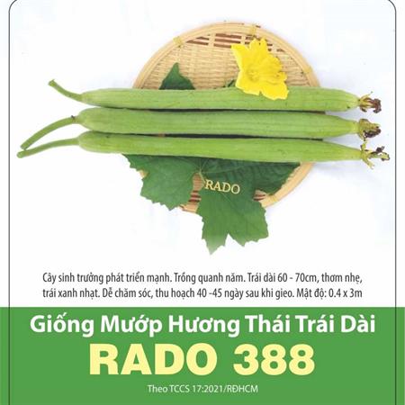 Hạt giống Mướp hương thái trái dài Rado 388 - Gói 100 Hạt