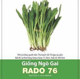 Hạt giống Ngò gai - Mùi tàu - Gói 500gr