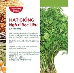 Hạt giống Ngò hạt nhỏ 20gr