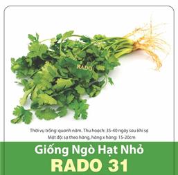 Hạt giống Ngò hạt nhỏ - Gói 500gr