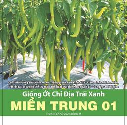 Hạt giống Ớt chỉ địa trái xanh Miền Trung 01 - Gói 0.1gr
