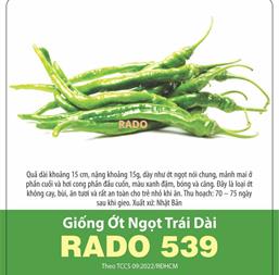 Hạt giống Ớt ngọt trái dài Rado 539 - Gói 0.2gr