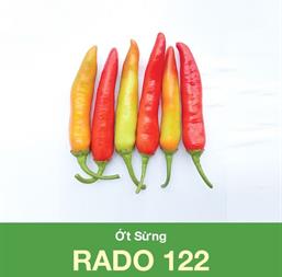 Hạt giống Ớt sừng Rado 122 - Gói 5gr