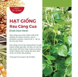 Hạt giống Rau càng cua 0.5gr