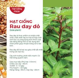 Hạt giống Rau đay đỏ 20gr