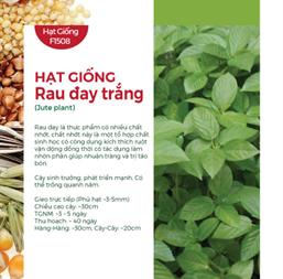 Hạt giống Rau đay xanh 20gr