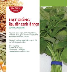 Hạt giống rau Dền xanh lá nhọn 20gr
