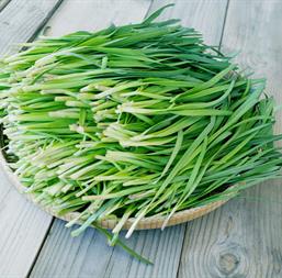 Hạt giống Hẹ lá 1gr