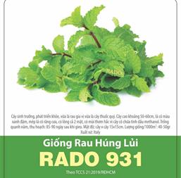 Hạt giống Húng lủi - Gói 10gr