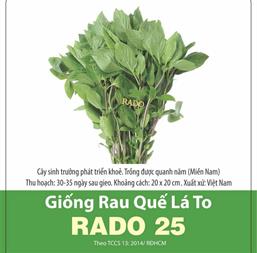 Hạt giống Húng quế xanh lá to 50Gr