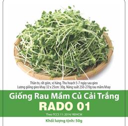 Hạt giống Rau mầm củ cải trắng hạt nhỏ 50gr