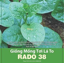 Hạt giống Rau mồng tơi xanh - Gói 500gr