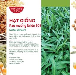 Hạt giống Rau muống lá lớn - Gói 100gr