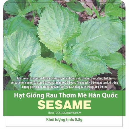 Hạt giống Rau thơm mè Hàn Quốc SESAME 0.5gr - Lá vừng, lá nhíp