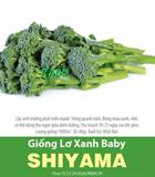 Hạt giống Súp lơ xanh baby Shiyama 0.1gr