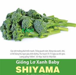 Hạt giống Súp lơ xanh baby Shiyama 0.1gr