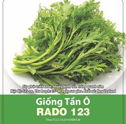 Hạt giống Tần Ô Rado 123 - Cúc tẻ - 100gr