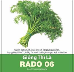 Hạt giống rau Thì Là - Gói 20gr