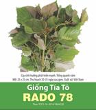 Hạt giống Tía tô Rado 78 - Gói 50gr