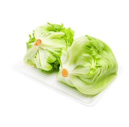 Hạt giống Xà lách búp Rado 534 - Gói 5gr