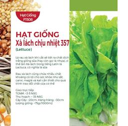Hạt giống Xà lách chịu nhiệt 357 - Gói 10gr