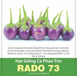 Hạt giống Cà pháo tím - Gói 5gr