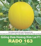 Hạt giống Dưa lê Hoàng Kim F1 Rado 163 - Gói 100 hạt 
