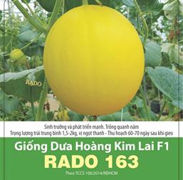 Hạt giống Dưa lê Hoàng Kim F1 Rado 163 - Gói 100 hạt 