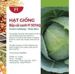 Hạt giống Bắp cải xanh F1 Kaka 0.5gr