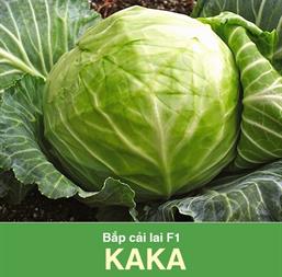 Hạt giống Bắp cải xanh F1 Kaka - Gói 10Gr