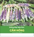 Hạt giống Bắp nếp dẻo Cẩm hồng - Gói 10gr