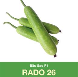Hạt giống Bầu sao lai F1 Rado 26 - 10 Hạt