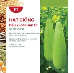 Hạt giống Bầu xị F1 - 10 hạt