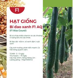 Hạt giống Bí đao xanh trái dài Java - Gói 0.2gr