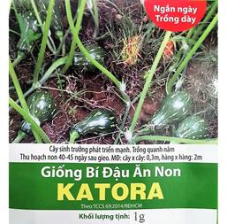 Hạt giống Bí đậu ăn non - 10 hạt