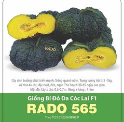 Hạt giống Bí đỏ da cóc