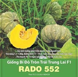 Hạt giống Bí đỏ tròn lớn lai F1 Rado 552 - Gói 1gr