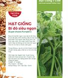Hạt giống Bí siêu ngọn Rado 099 - Gói 20gr