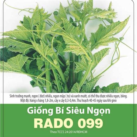 Hạt giống Bí siêu ngọn Rado 099 - Gói 100Gr