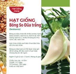 Hạt giống bông so đũa trắng 2gr