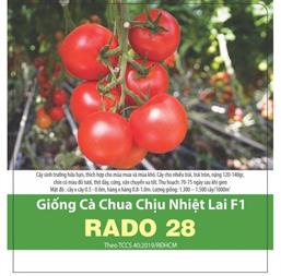 Hạt giống Cà chua chịu nhiệt lai F1 Rado 28