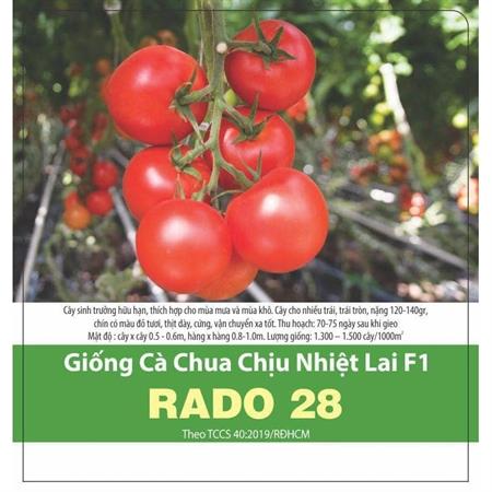 Hạt giống Cà chua chịu nhiệt lai F1 Rado 28