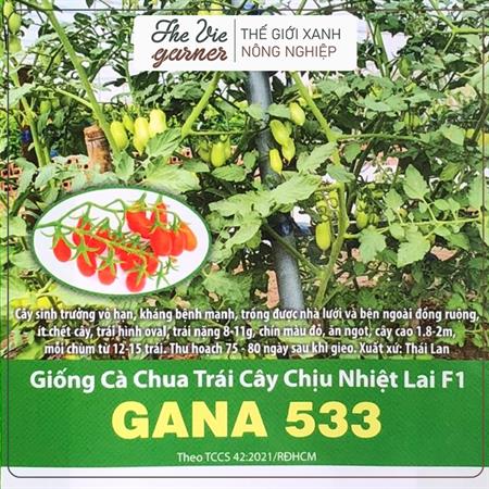 Hạt giống Cà chua trái cây chịu nhiệt lai f1 Gana 533